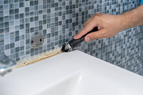 Best Office Mold Removal Services  in Louisville, KY