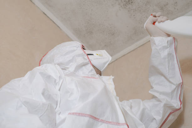 Best Professional Mold Removal  in Louisville, KY
